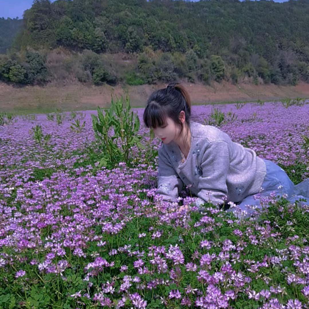小灰灰