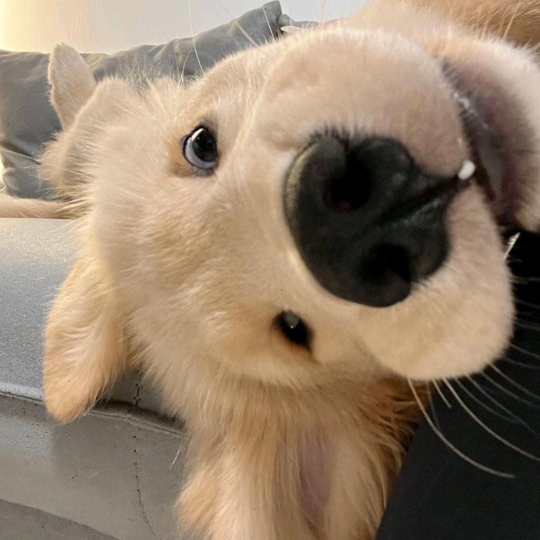 拥抱彩虹