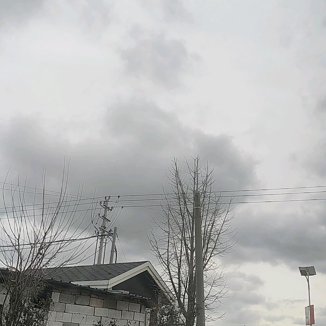 冰冰🧊（想涨1千粉）
