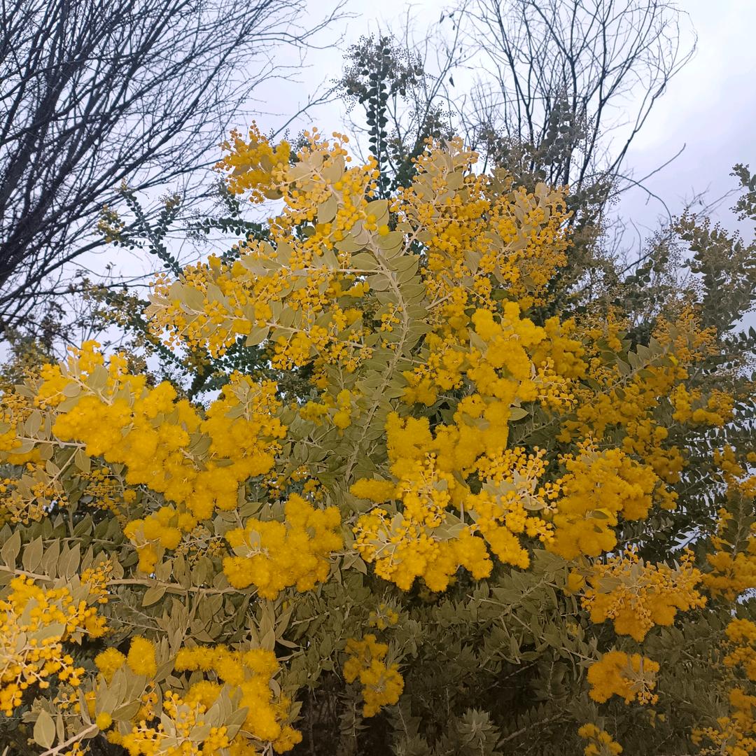 🦋ℒ落阳Ꭽℯ࿐