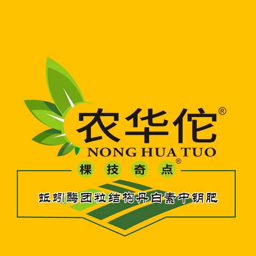 科技新创新