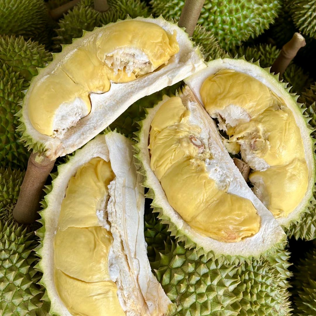 金枕榴莲亚洲6号总仓