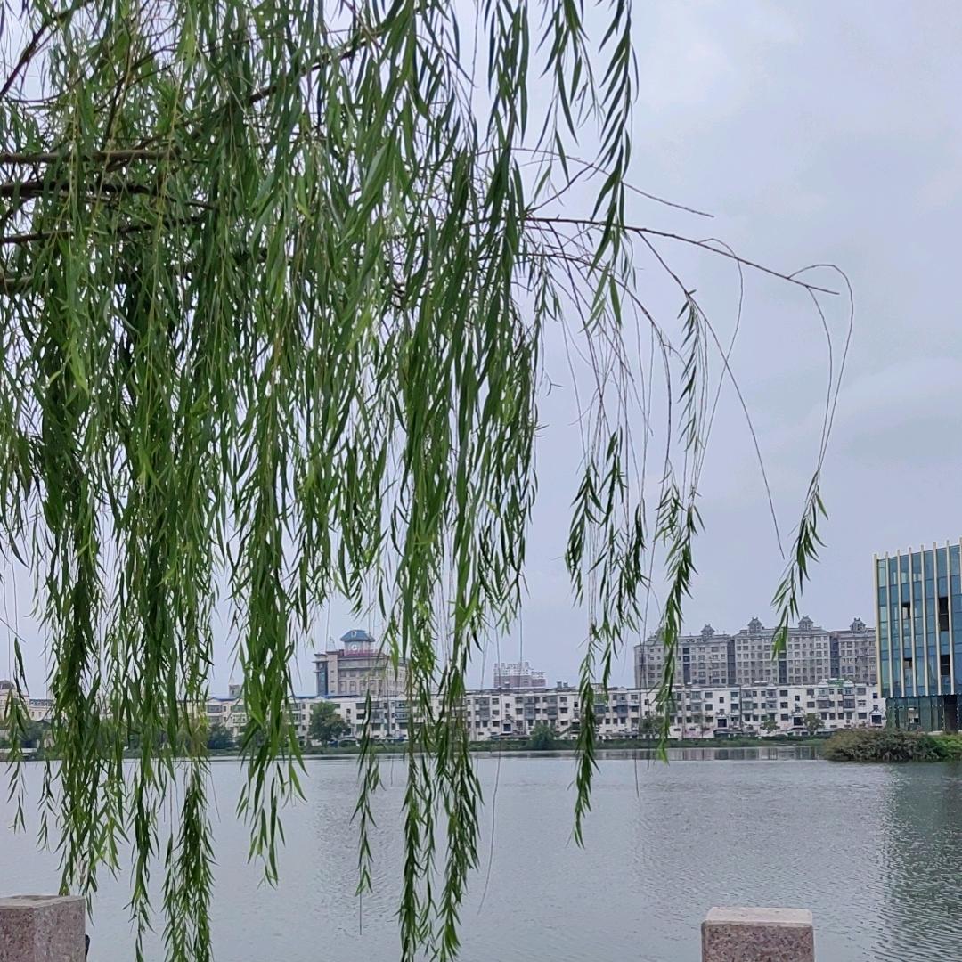 宠爱