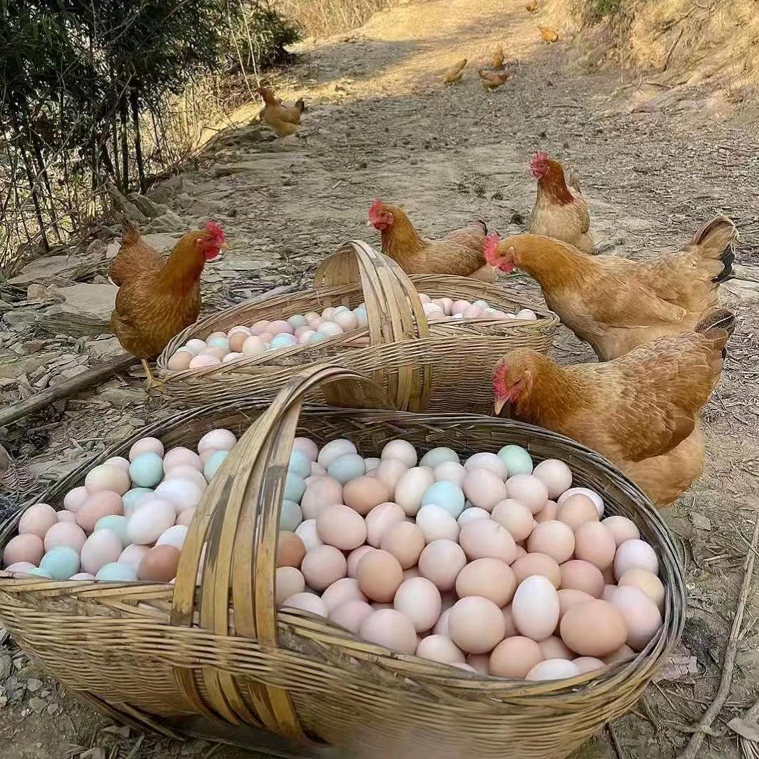 桂林批发零售各种蛋!五谷杂粮油