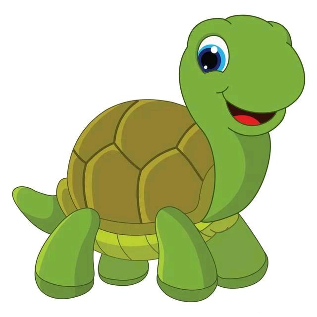 小乌龟