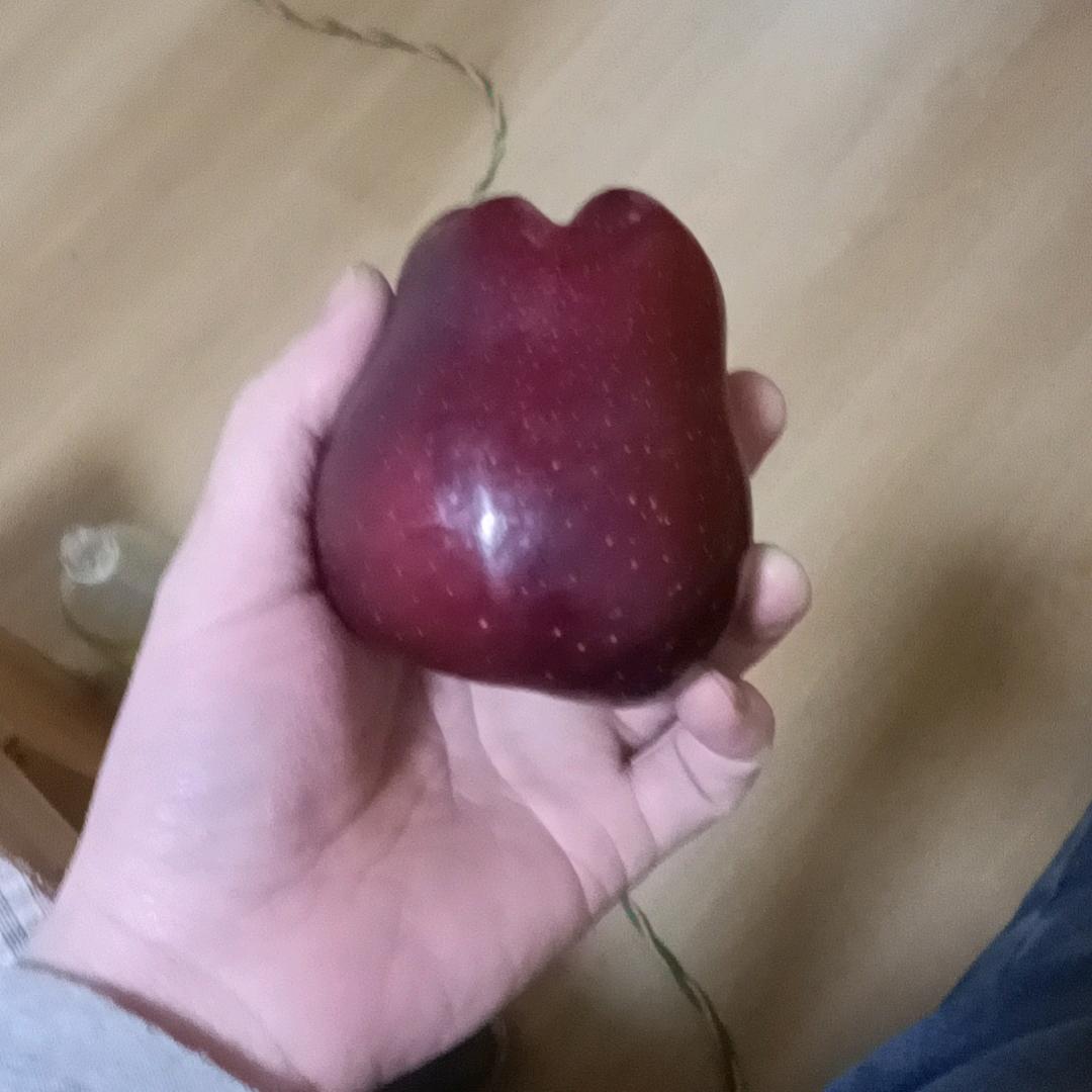 召夕