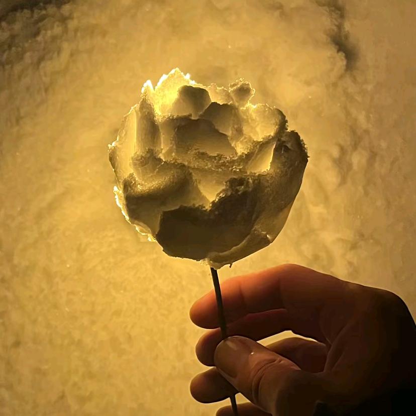 满山的猴子，我腚最红