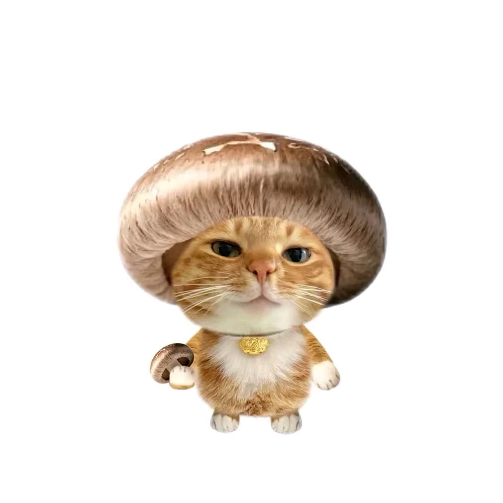 他的世界观