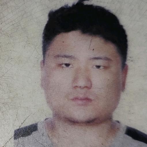 归来