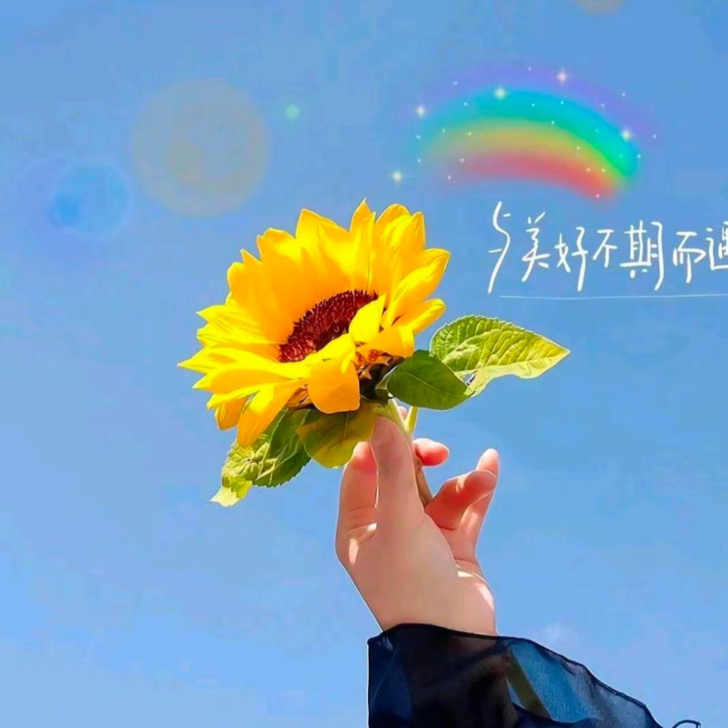 🥀芥末、糖心💘