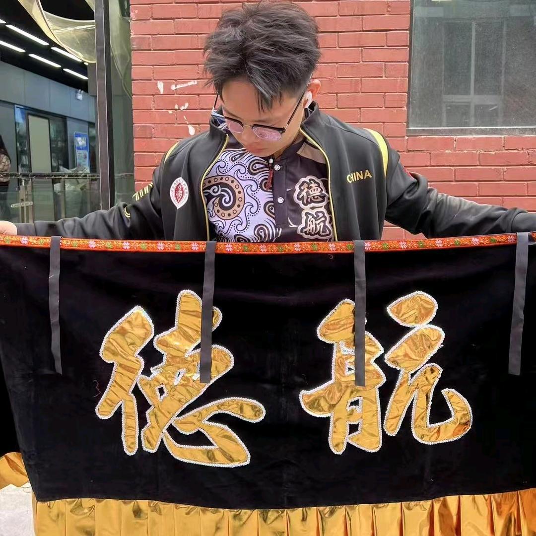 德航龙狮（平顶山）
