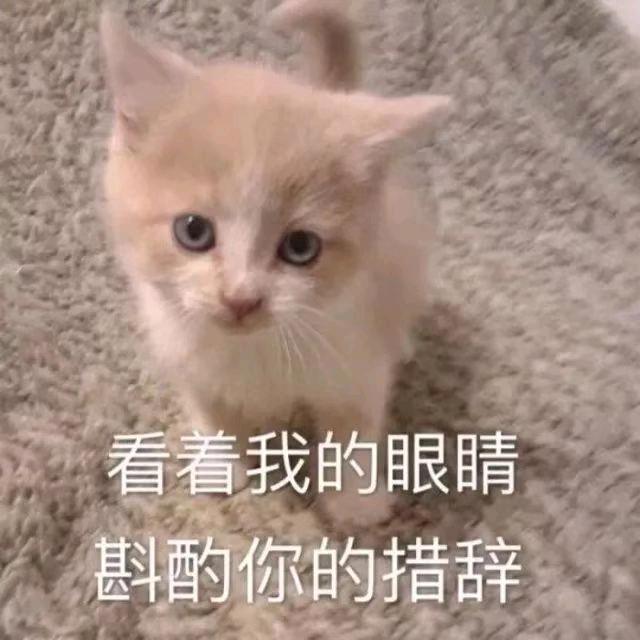 嘻嘻˙ᗜ˙
