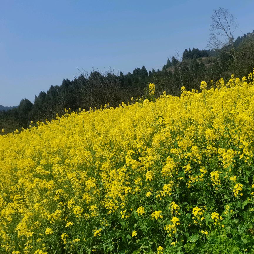 ♥＠_＠彩虹糖♥