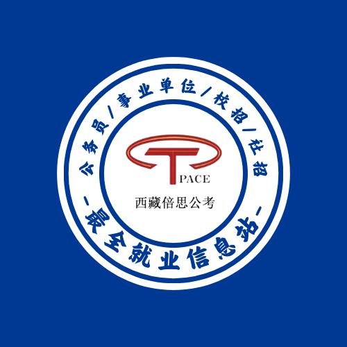TPACE公考咨询就业平台