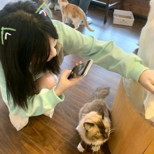 脑壳笨笨嘟头像