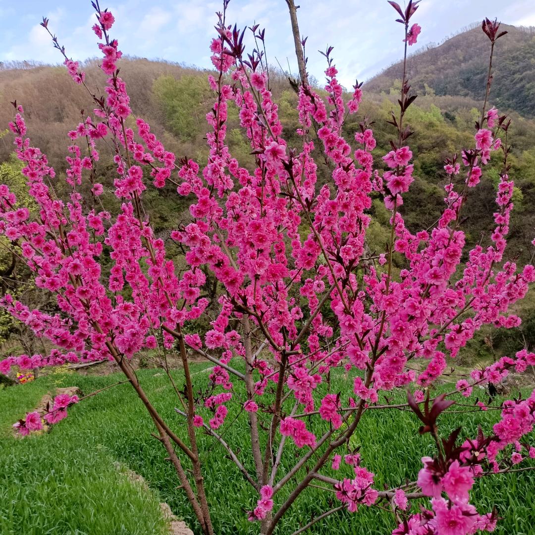 杯中烈酒敬余生