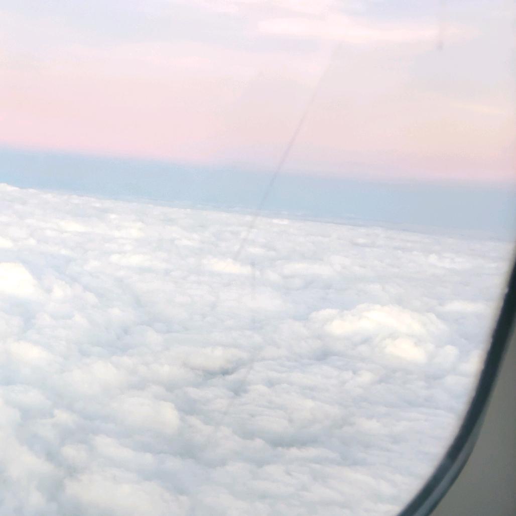 ╭( ′• o •′ )╭☞就是这个人！