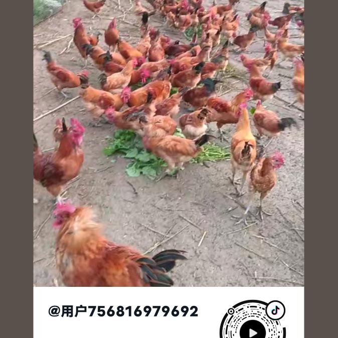 用户756816979692