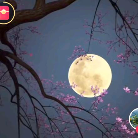 红尘。ζ | 旧梦。ζ