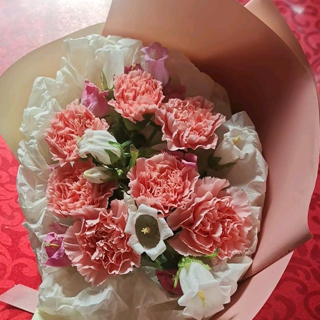 琴宇无忧