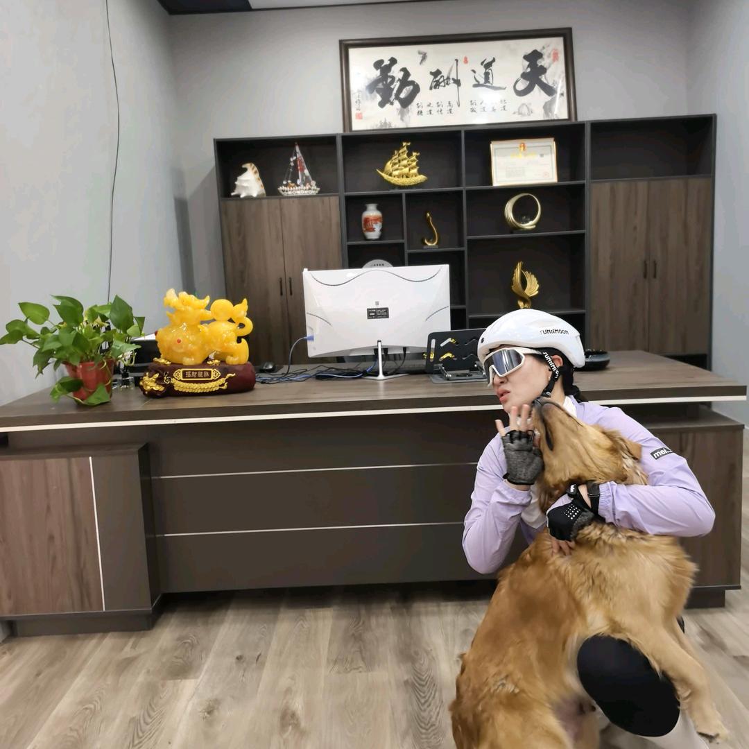 吹吹人间发财风