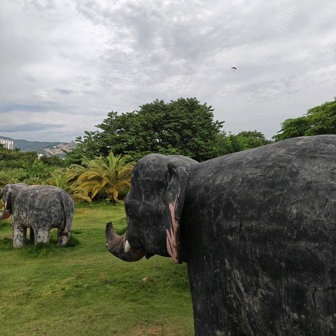 𓆡𓆝𓆟𓆜𓆞𓆝.