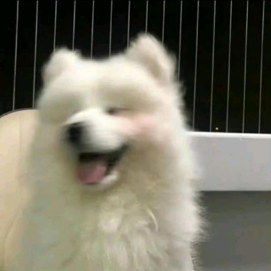 小梦睡不醒