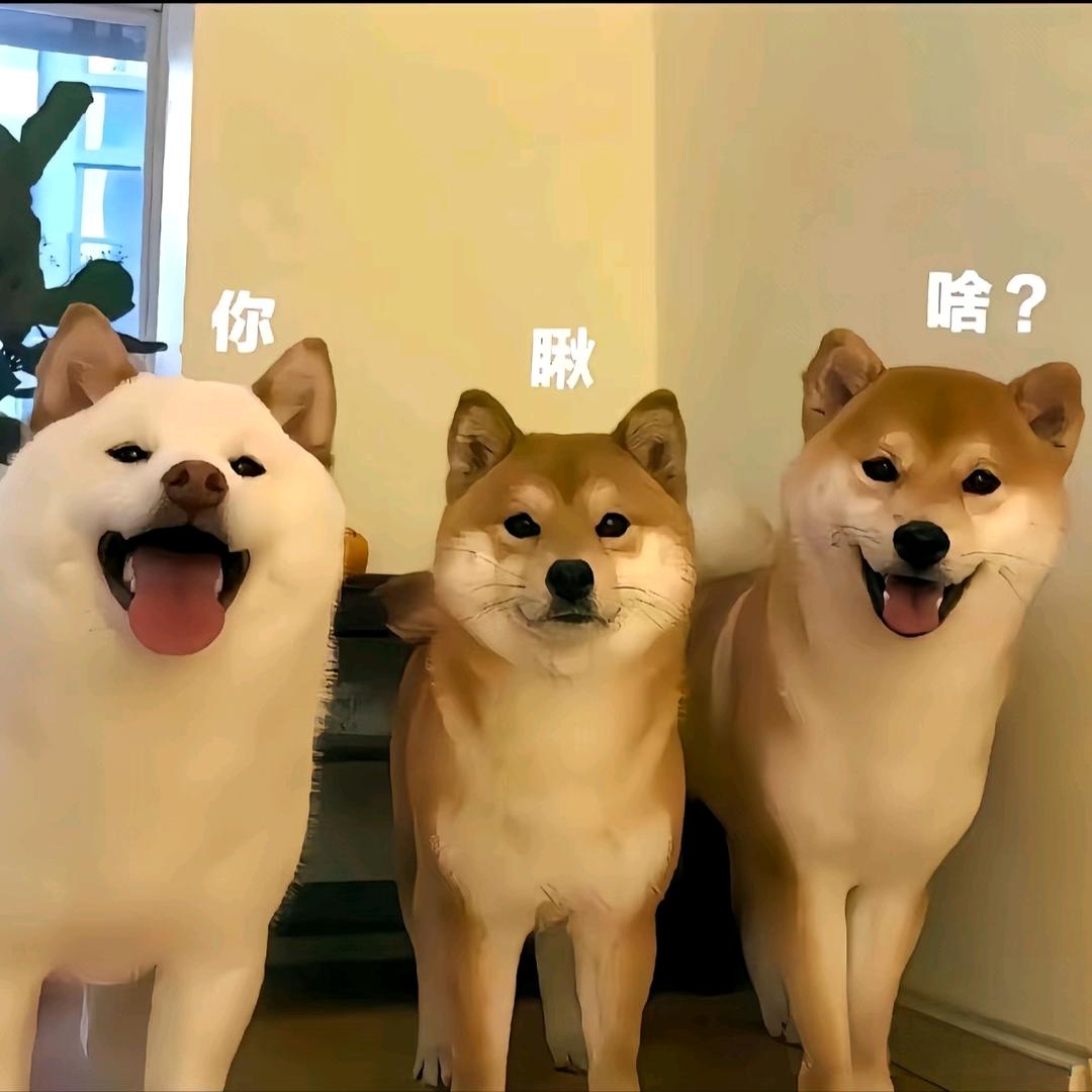 栀夏，