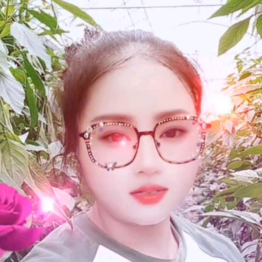 贵州琴姐