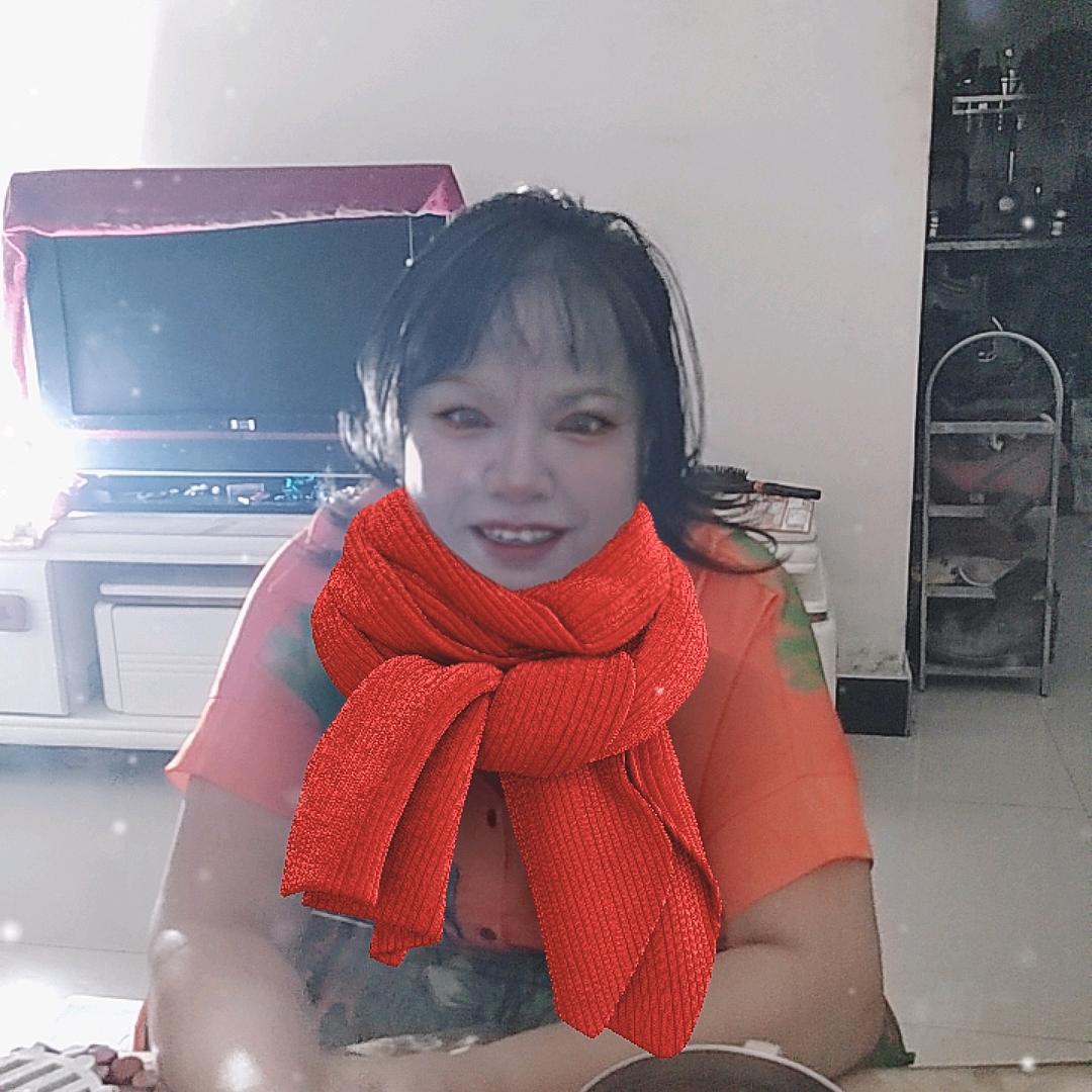 资中凤姐