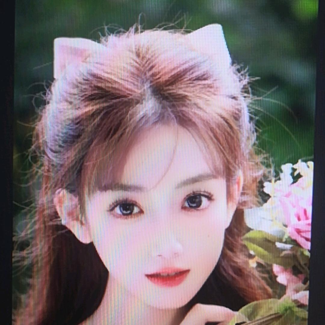 梨花带雨泪泪