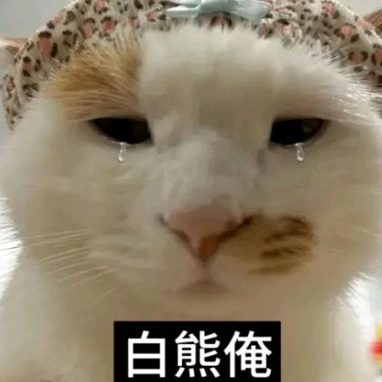 山楂条条