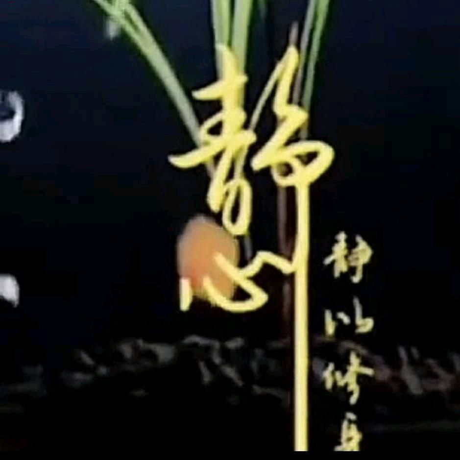 婷婷心中的太阳