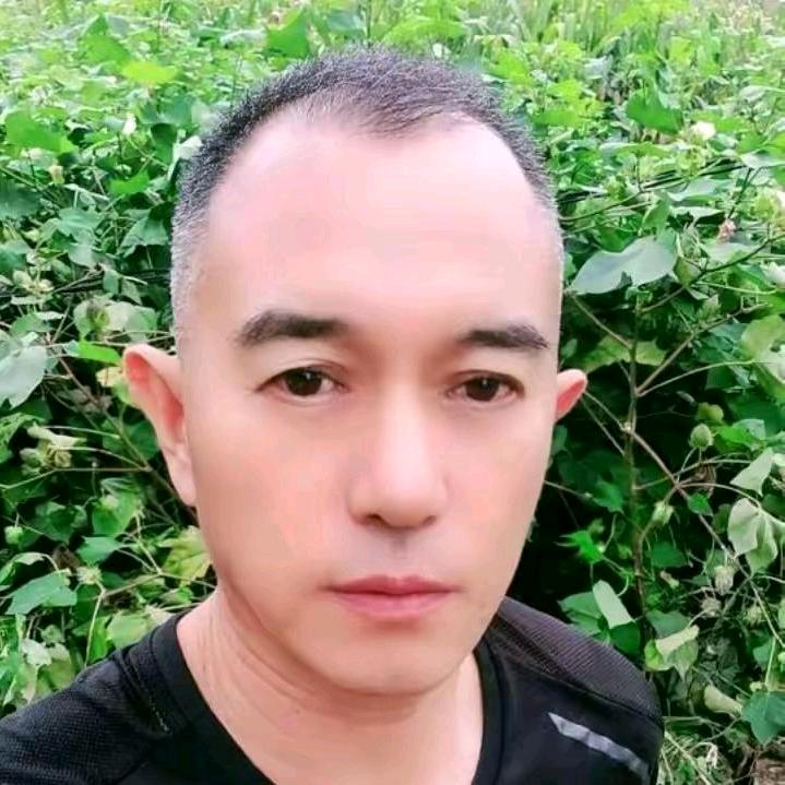 山东王哥(抖音摆个摊)