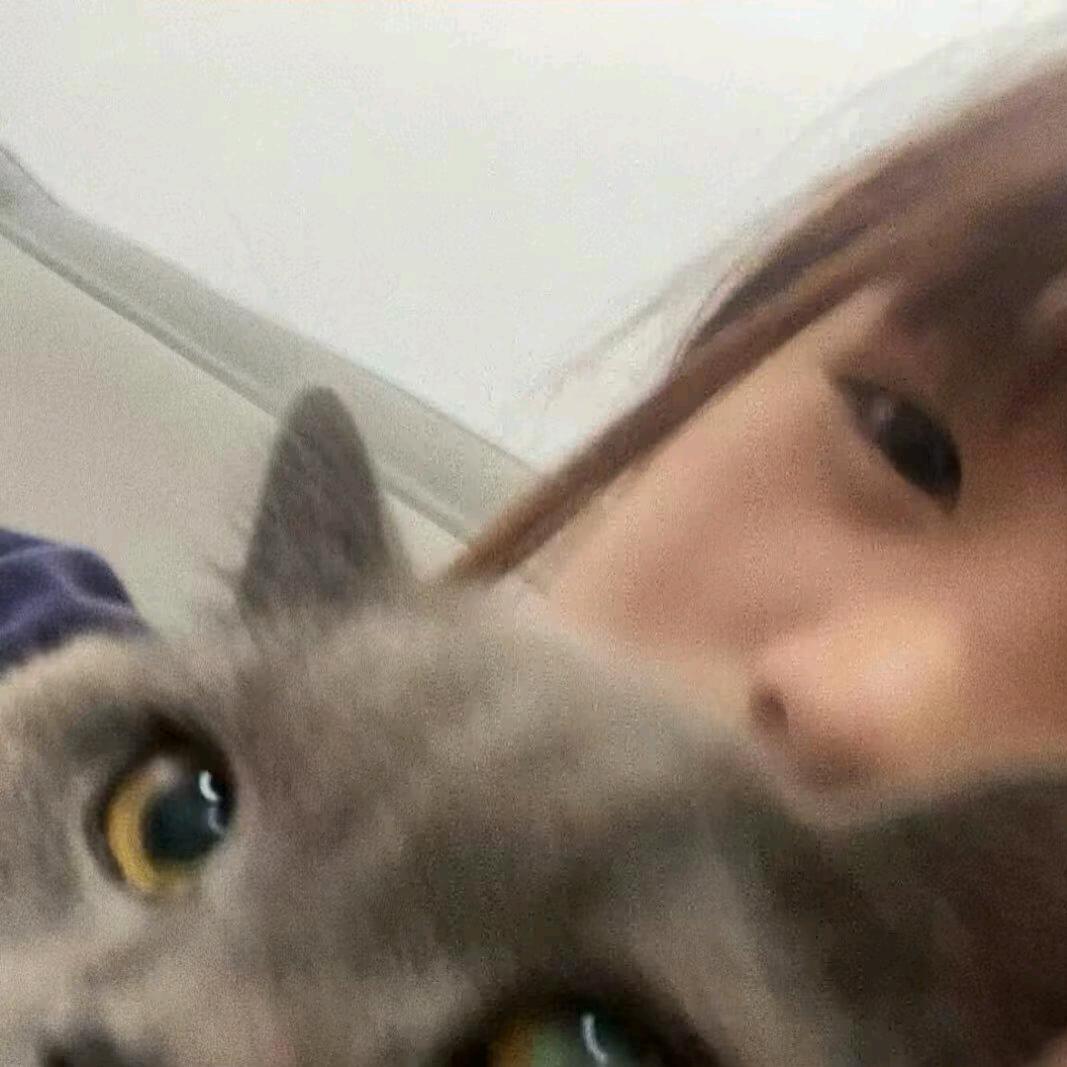 @iiu𝟳.