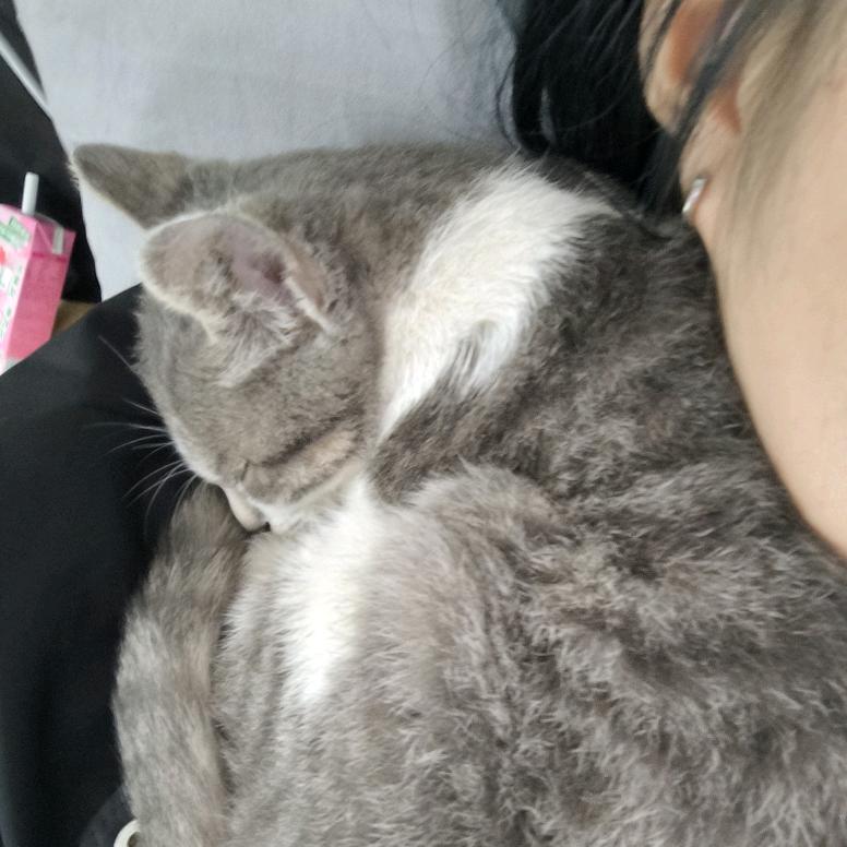 小🐟小🐟快快游