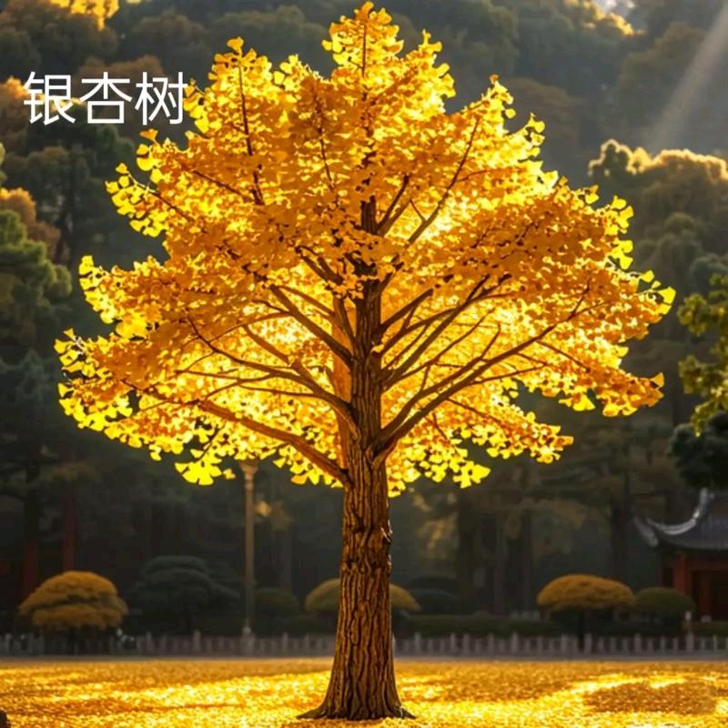 @一树施工