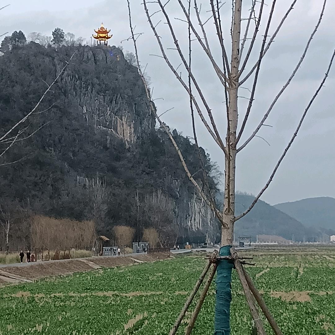 江南陈阁老