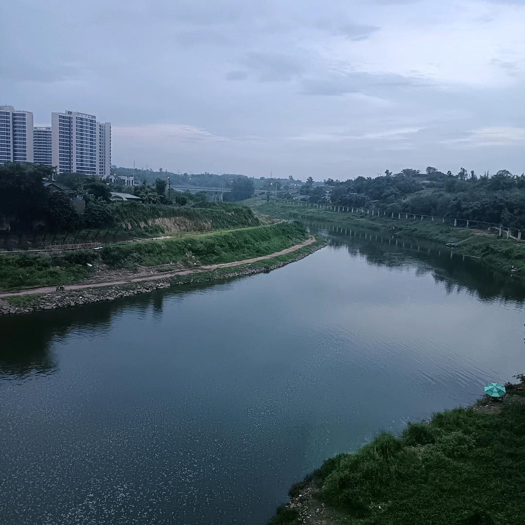 忧忧的心
