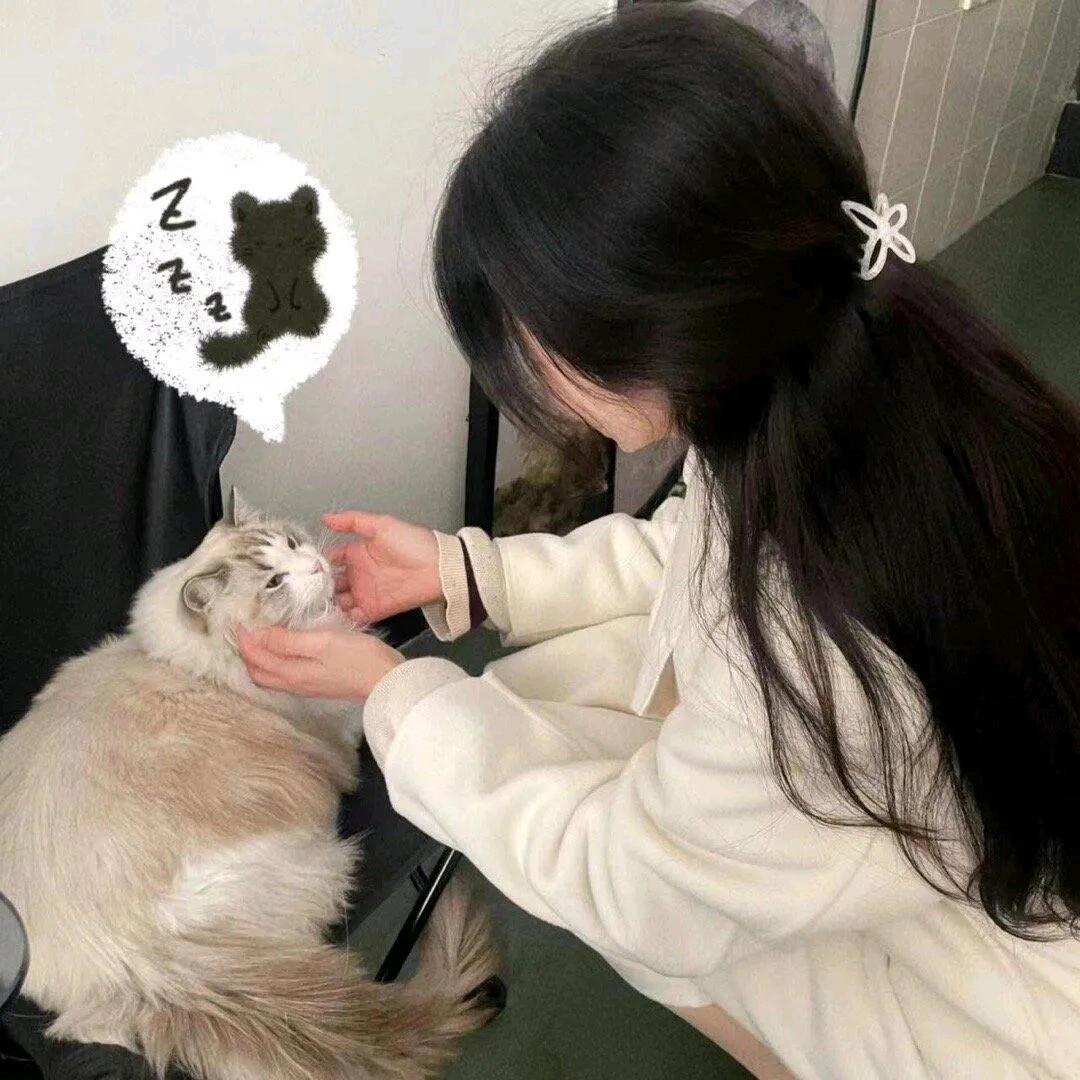 吐司面包🍞（直播版）