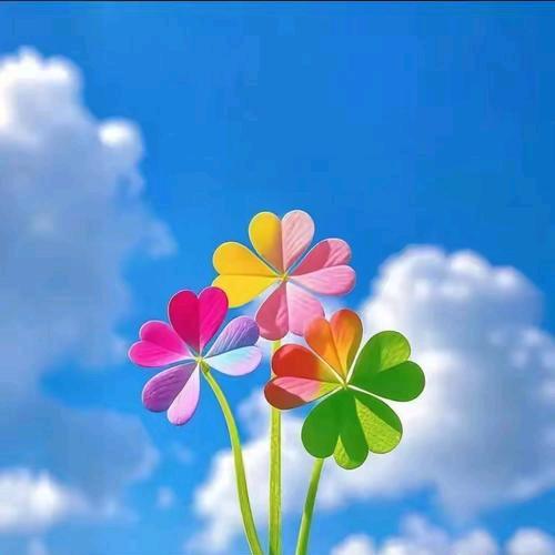 何必@🥀在意？