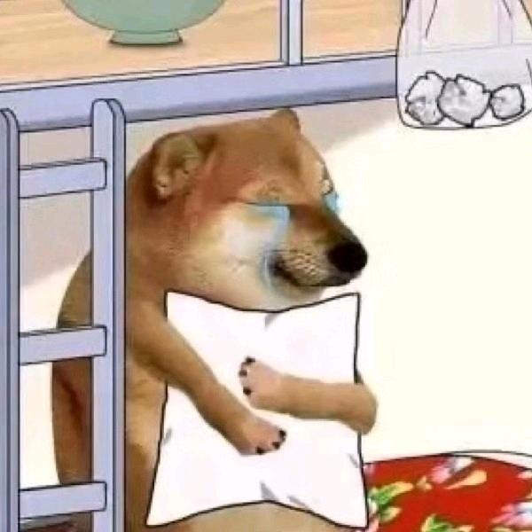 程