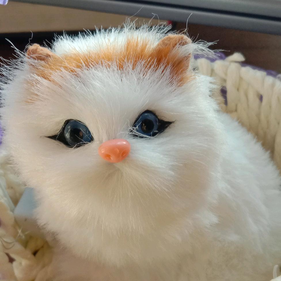 周姐