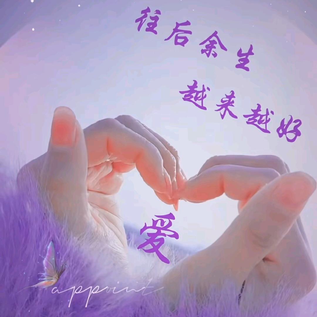 ⁵²º: ঞᩚ᭄兜里💞半颗