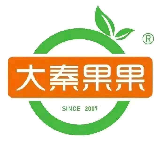 大秦果果安东东路