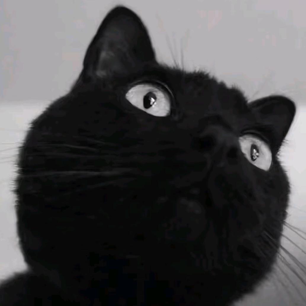 你好！派大星⭐