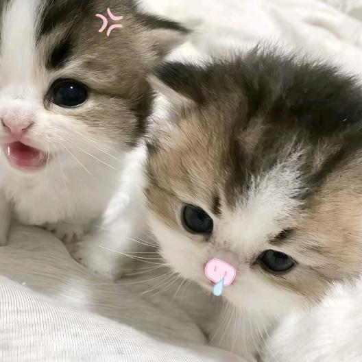 结局