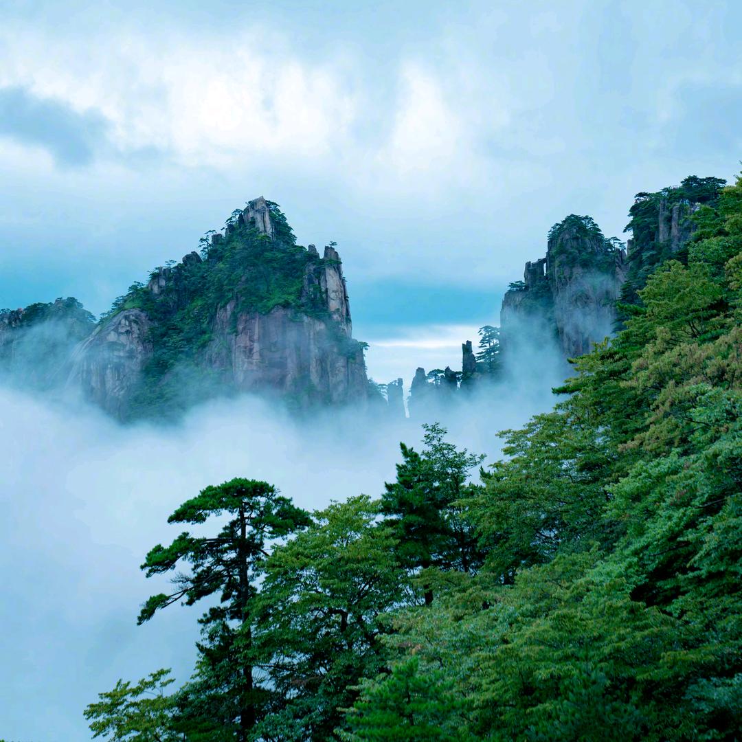 见青山