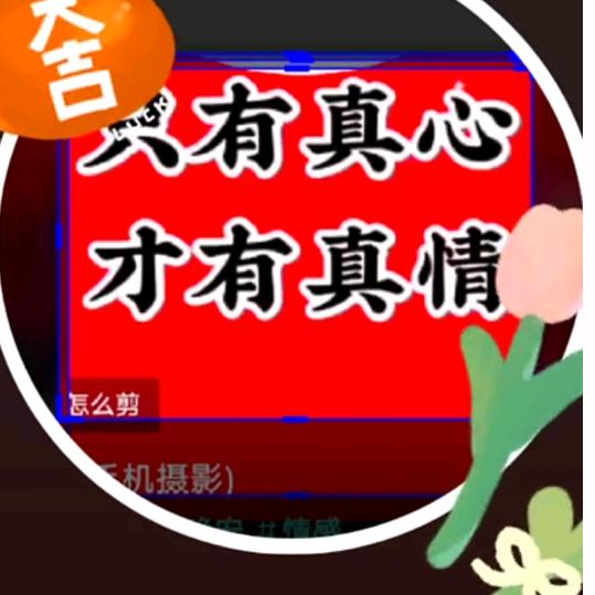 啊林，生态养殖土鸡