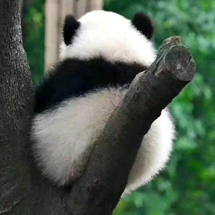 信诺云供鞋业